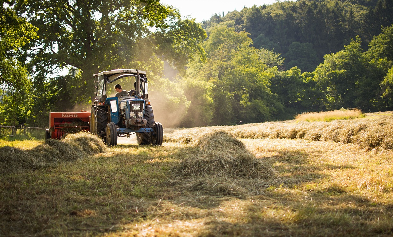 farmer